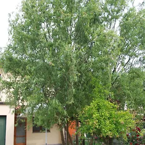 I Salici Di Laura Bed & Breakfast
